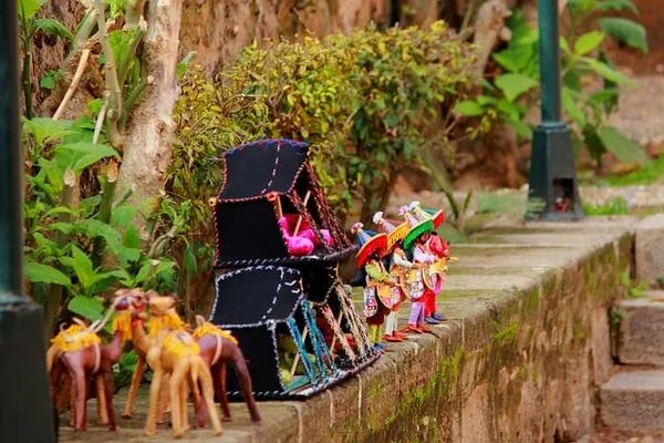 A beautiful small camels made by humain,12-day Morocco Itinerary