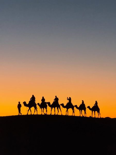 Experience camel trekking beneath a dramatic desert sunset