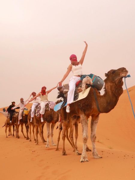A camel caravan trekking across the Sahara dunes on a 10 day Morocco itinerary."