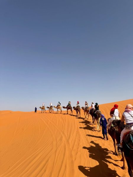 Caravan of tourists riding camels across rolling orange sand dunes during a 2 day desert tour from marrakech.