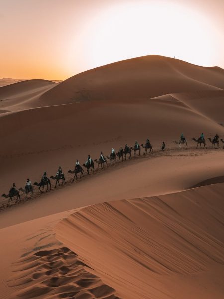 group of travelers riding camels at sunset on a 3 day morocco desert tour .