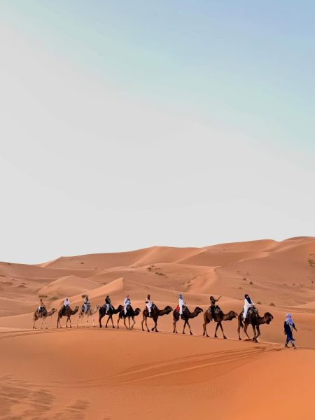 Camel trekking in Merzouga