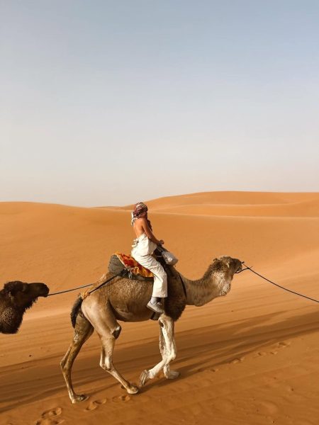 Camel Trekking across the dunes to the camp