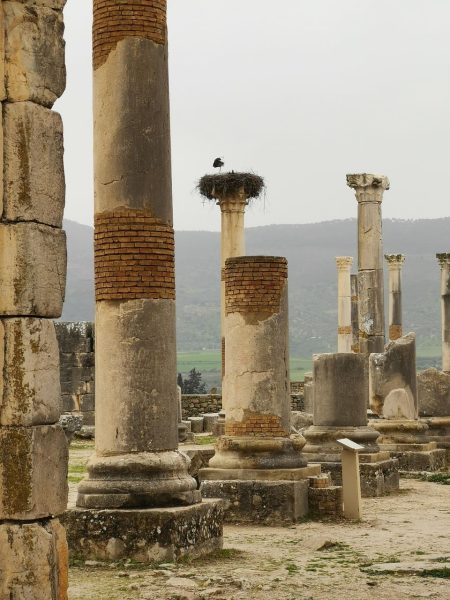 Ancient Volubilis archaeological site near Fes, Morocco