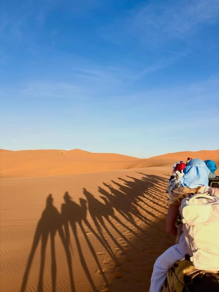 Traveler enjoying a camel trek across the golden Sahara dunes in Merzouga Morocco