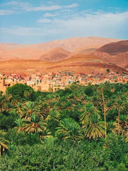 Green palm trees and oasis landscapes in the Moroccan desert