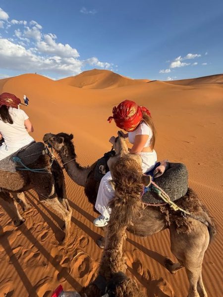 Camel trekking at sunrise with soft golden light over the Sahara dunes in Morocco