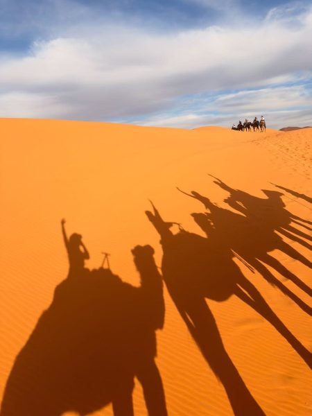 Traveler enjoying a traditional camel ride experience across the Sahara Desert dunes in Merzouga