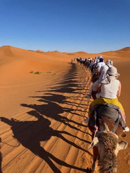 Sahara Desert camel caravan adventure under the evening sky