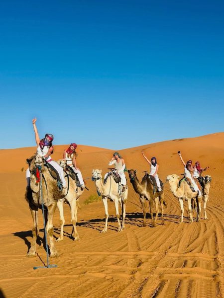 Camel riding experience at sunset in the Sahara Desert as part of a 5-day tour from Marrakech to Merzouga