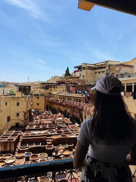 Fes tanneries and traditional leather workshops