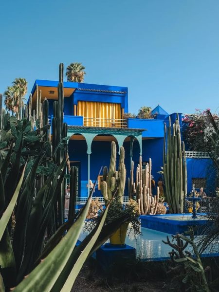 Majorelle Garden in Marrakech with exotic plants and vibrant blue buildings