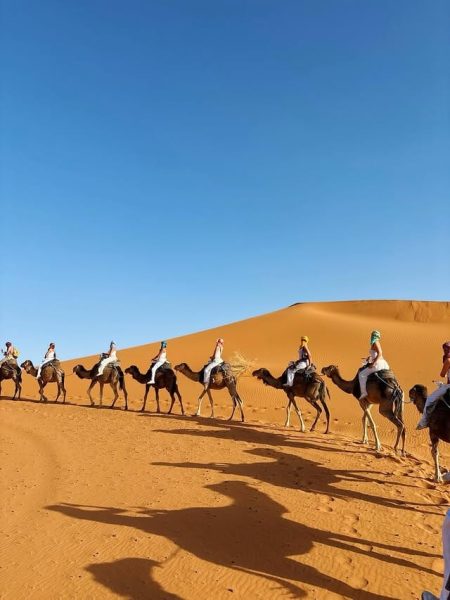 Group of travelers enjoying a camel trek across the Sahara Desert dunes in Morocco